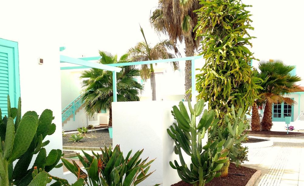 Smy Tahona Fuerteventura Hotel Caleta De Fuste Ngoại thất bức ảnh